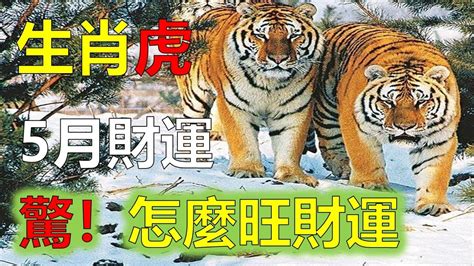 屬虎 2023|2023下半年生肖流年運勢！屬虎恐捲入三角戀、屬蛇。